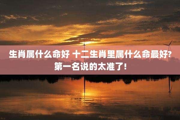 生肖属什么命好 十二生肖里属什么命最好?第一名说的太准了!