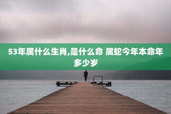 53年属什么生肖,是什么命 属蛇今年本命年多少岁