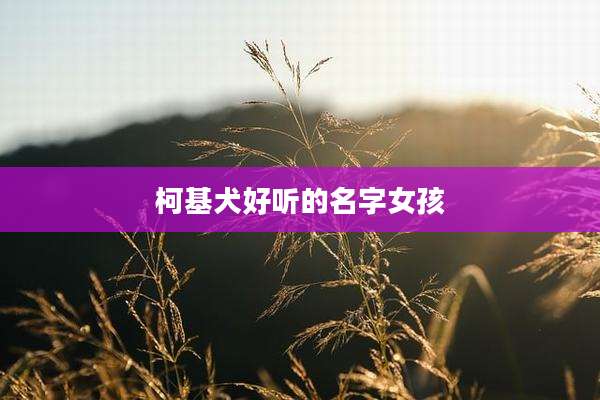 柯基犬好听的名字女孩
