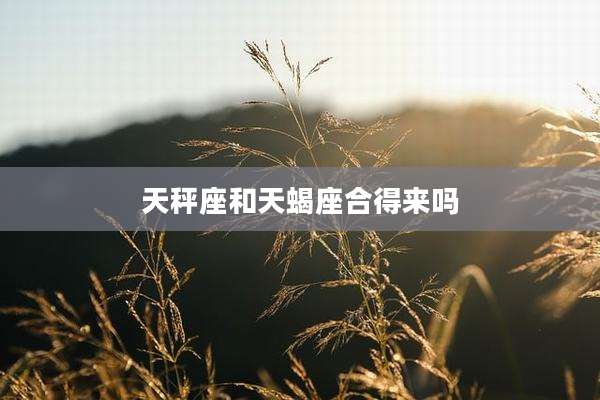 天秤座和天蝎座合得来吗