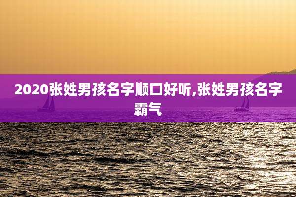 2020张姓男孩名字顺口好听,张姓男孩名字霸气
