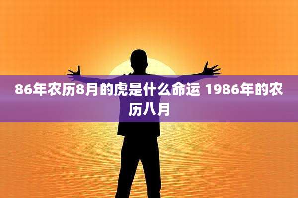 86年农历8月的虎是什么命运 1986年的农历八月
