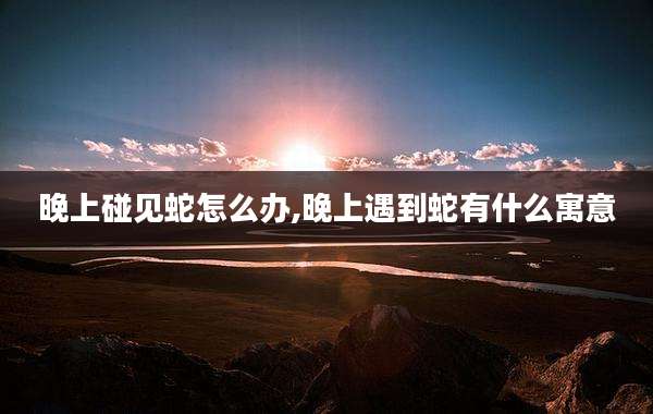 晚上碰见蛇怎么办,晚上遇到蛇有什么寓意
