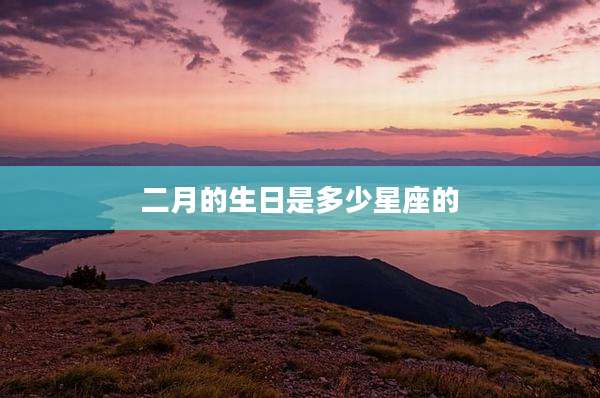 二月的生日是多少星座的