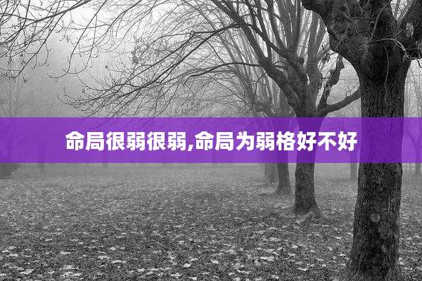 命局很弱很弱,命局为弱格好不好