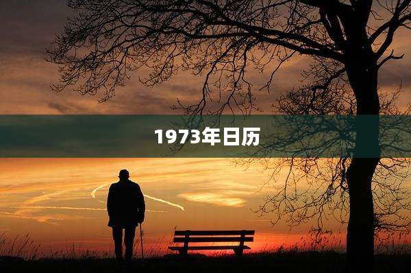 1973年日历