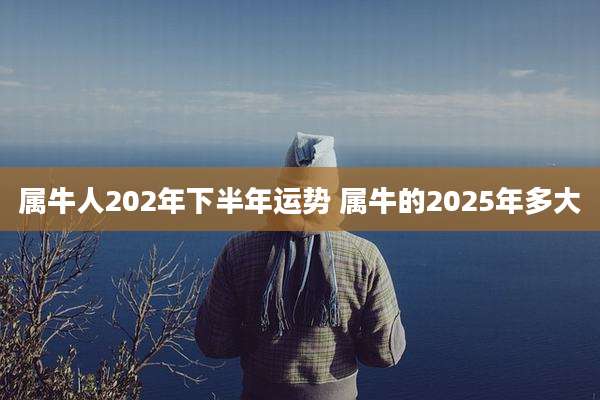 属牛人202年下半年运势 属牛的2025年多大