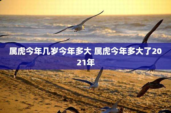 属虎今年几岁今年多大 属虎今年多大了2021年