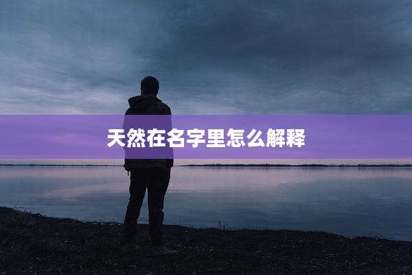 天然在名字里怎么解释