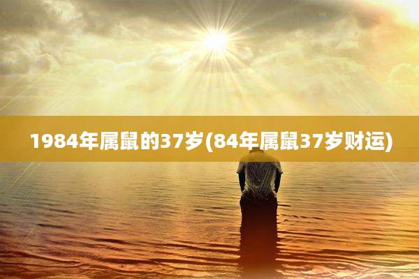 1984年属鼠的37岁(84年属鼠37岁财运)