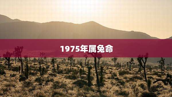1975年属兔命