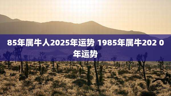 85年属牛人2025年运势 1985年属牛202 0年运势