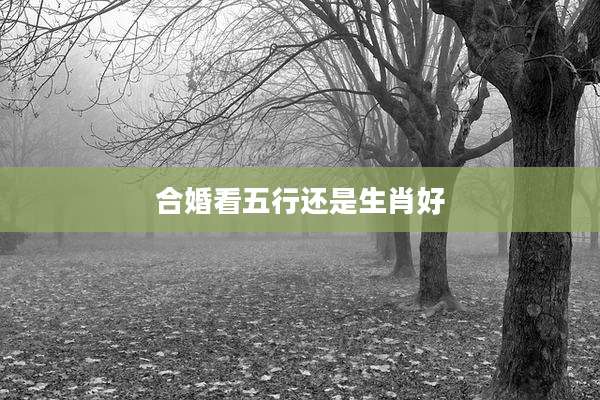 合婚看五行还是生肖好