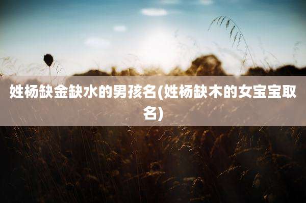 姓杨缺金缺水的男孩名(姓杨缺木的女宝宝取名)