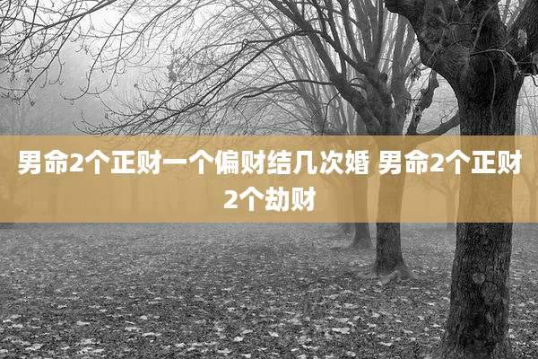 男命2个正财一个偏财结几次婚 男命2个正财2个劫财