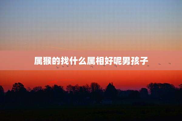 属猴的找什么属相好呢男孩子