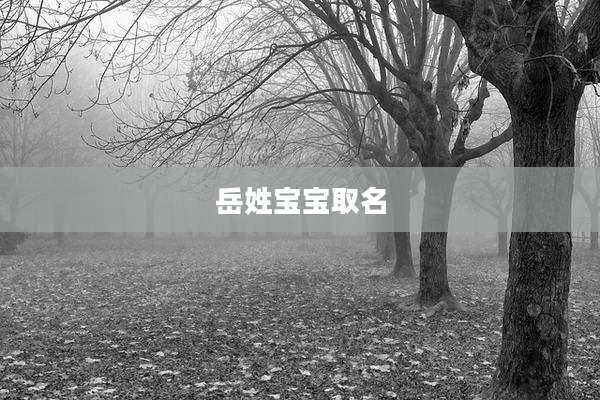 岳姓宝宝取名