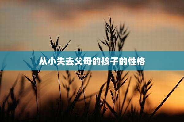 从小失去父母的孩子的性格