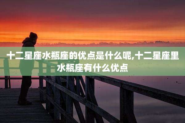 十二星座水瓶座的优点是什么呢,十二星座里水瓶座有什么优点