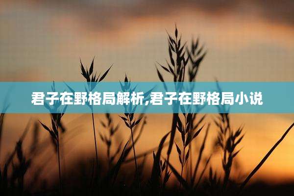 君子在野格局解析,君子在野格局小说