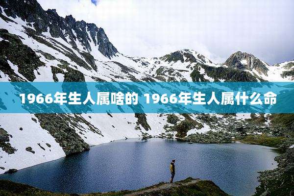 1966年生人属啥的 1966年生人属什么命