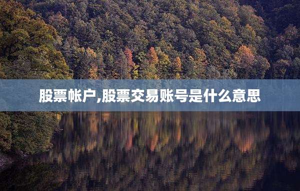 股票帐户,股票交易账号是什么意思