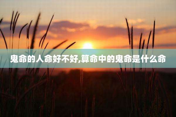 鬼命的人命好不好,算命中的鬼命是什么命