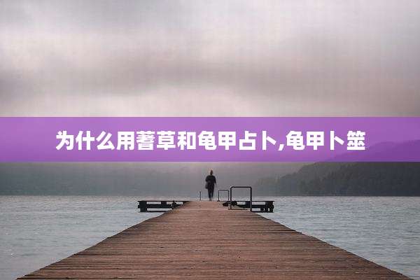 为什么用蓍草和龟甲占卜,龟甲卜筮