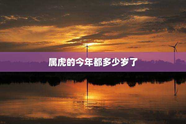 属虎的今年都多少岁了