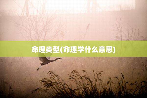 命理类型(命理学什么意思)