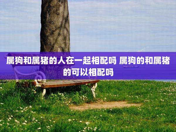 属狗和属猪的人在一起相配吗 属狗的和属猪的可以相配吗