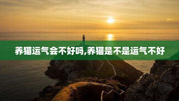 养猫运气会不好吗,养猫是不是运气不好