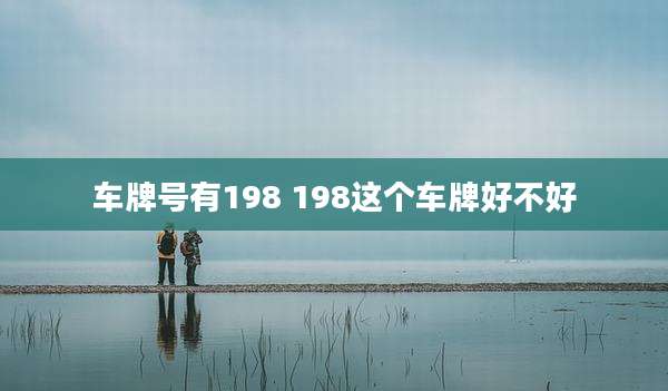 车牌号有198 198这个车牌好不好