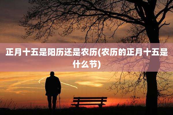 正月十五是阳历还是农历(农历的正月十五是什么节)