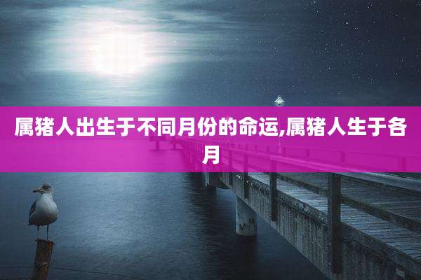 属猪人出生于不同月份的命运,属猪人生于各月