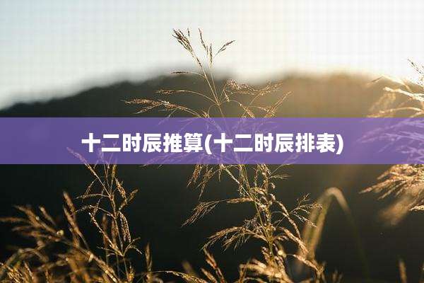 十二时辰推算(十二时辰排表)