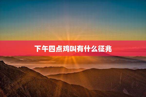 下午四点鸡叫有什么征兆