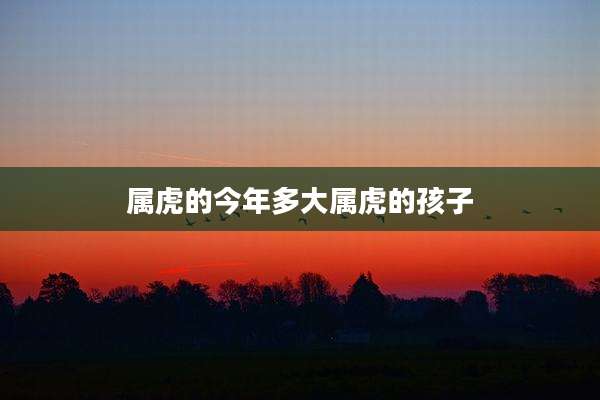 属虎的今年多大属虎的孩子