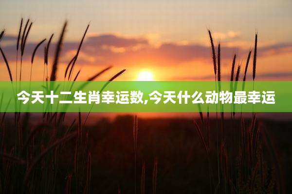 今天十二生肖幸运数,今天什么动物最幸运