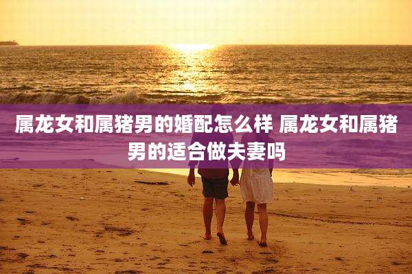 属龙女和属猪男的婚配怎么样 属龙女和属猪男的适合做夫妻吗