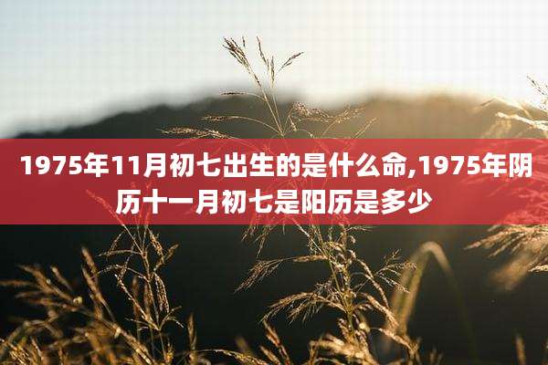1975年11月初七出生的是什么命,1975年阴历十一月初七是阳历是多少