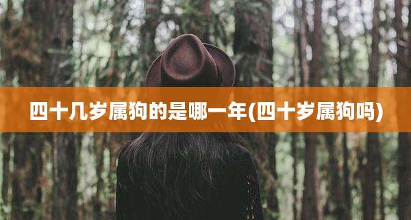 四十几岁属狗的是哪一年(四十岁属狗吗)