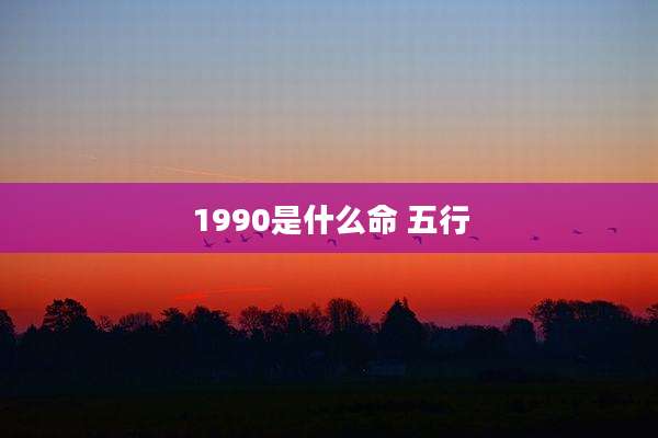 1990是什么命 五行