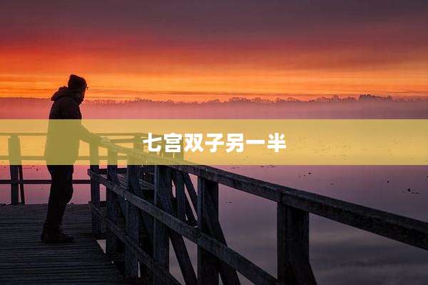 七宫双子另一半