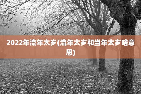 2022年流年太岁(流年太岁和当年太岁啥意思)
