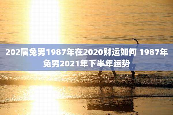 202属兔男1987年在2020财运如何 1987年兔男2021年下半年运势