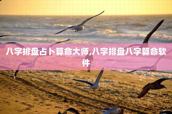八字排盘占卜算命大师,八字排盘八字算命软件