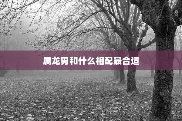 属龙男和什么相配最合适