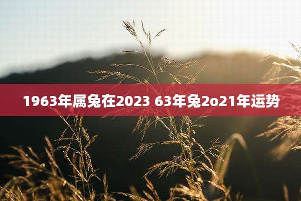 1963年属兔在2023 63年兔2o21年运势