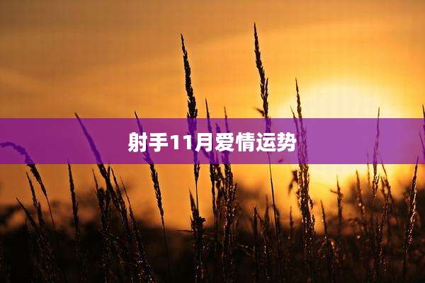 射手11月爱情运势